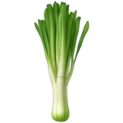 leek sticker