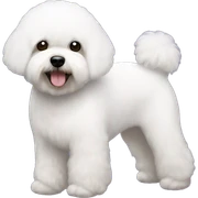 Bichon frise sticker