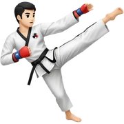 taekwondo kick sticker