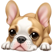 Fawn frenchie laying sticker