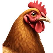 Chicken  sticker