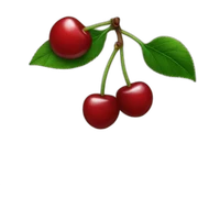 Cherries  sticker
