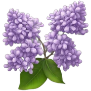 lilac sticker
