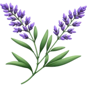 Lavender sticker