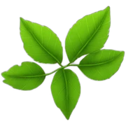 Leaves sticker