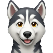 Husky sticker
