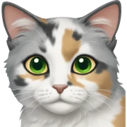 Dilute calico green eyes layiny sticker