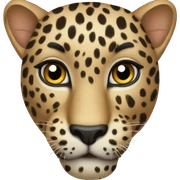 Leopard  sticker