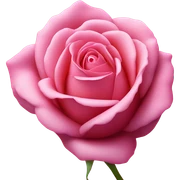 Rosa sticker
