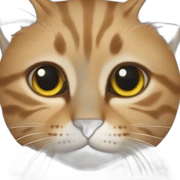 Cat cat sticker