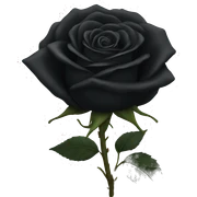 Black rose sticker