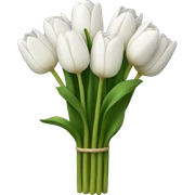 white tulip bouquet  sticker