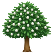Sapin blanc sticker