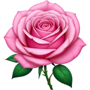 pink  sticker