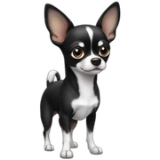 Black and white chihuahua sticker