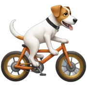 dog on a bike sticker