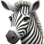 zebra sticker