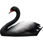 black swan sticker