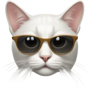 Cat with sunglasses sticker
