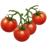 tomatoes sticker