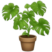 Plants sticker