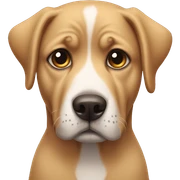 Dog sad sticker