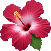 Hibiscus flower sticker