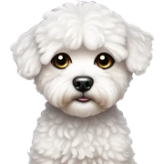 Cute Maltipoo with Sad, Glittery Eyes. sticker
