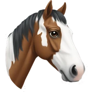 Paint horse  sticker