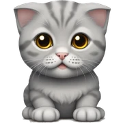 Gray Scottish fold kitten sticker
