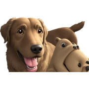 playful dog at the window sticker