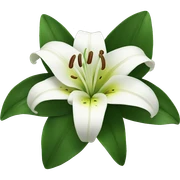 Lily flower sticker