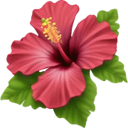 Hibiscus  sticker