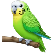 budgies parrot  sticker