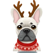 Grey French bulldog wearing a Christmas sweater with reindeer antlers  sticker