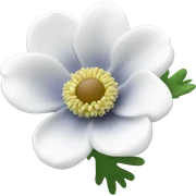 White anemone  sticker