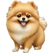 Pomeranian sticker