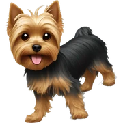 Yorkie surfing  sticker