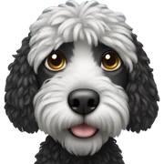 Black doodle sticker