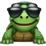 turtle wearing sunglasses sticker