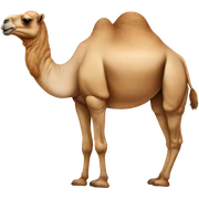 camel sticker