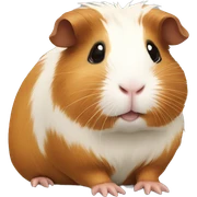 guinea pig sticker