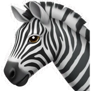 Zebra  sticker