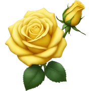 yellow rose sticker