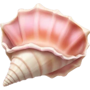 pink conch shell sticker