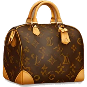 louis vuitton bag sticker