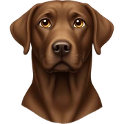 Brown labrador sticker