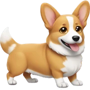 corgi sticker