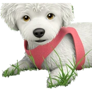 curious animal on green grass sticker