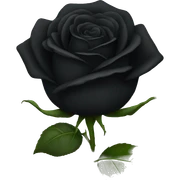Black rose sticker
